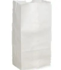 8x16 INCH 20 LB PAPER BAGS WHITE 500 /BDL