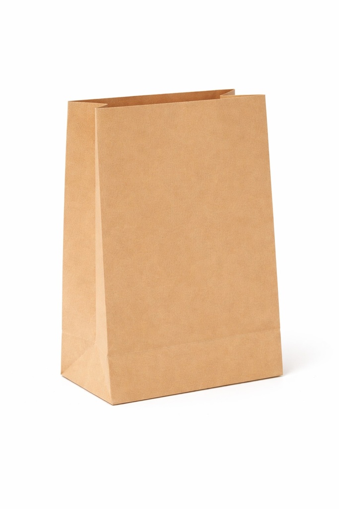 #6 PAPER BAG BROWN 500/BDL 2BDL/CS 