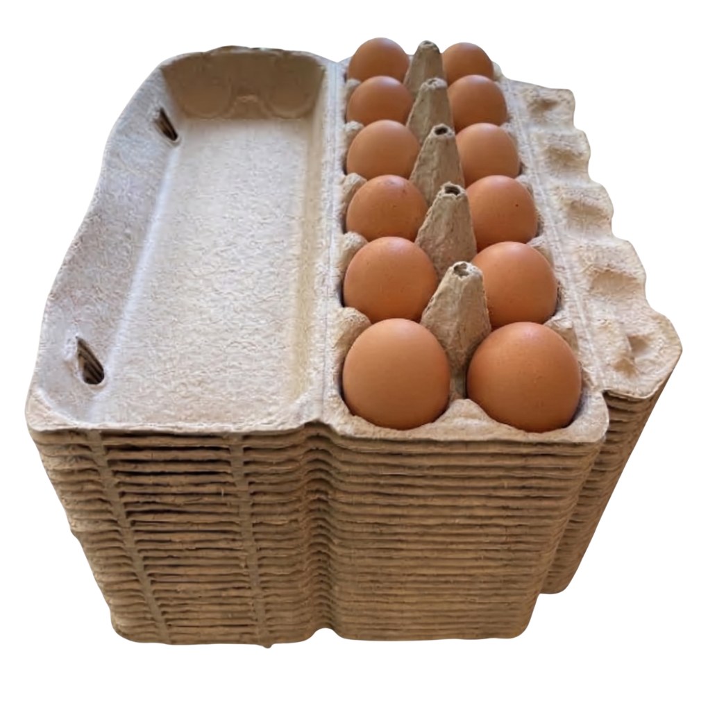 Egg Cartons