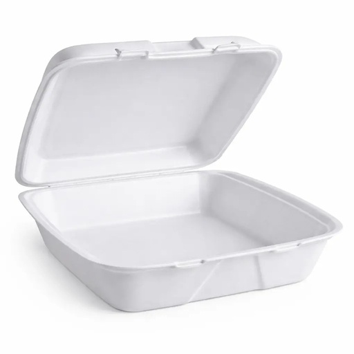 9 × 8 × 3 Foam Hinged Lid Single Compartment Medium White