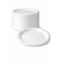 9 INCH FOAM PLATES WHITE 500/CS